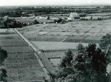 Image: No. 1 Sheep Farm from Moginie Hill, circa 1935-1937