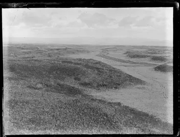 Image: Pine plantation forestry around Tokoroa