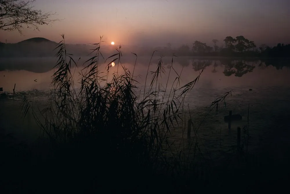 Japan Series: Sunset