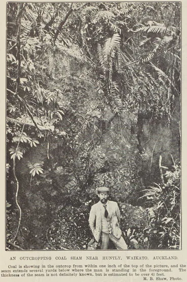 Image: Coal seam found at Huntly in the Waikato
