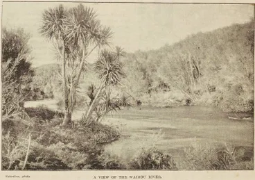 Image: A view of Waihou River