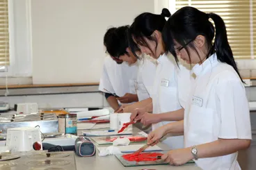 Image: Pharmacy Students