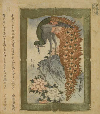 Peacock and Peony Flowers