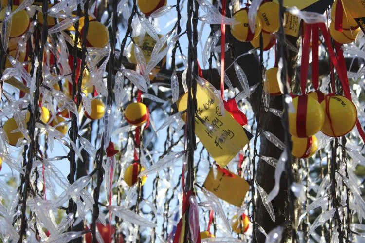 ASB wishing tree, Auckland Lantern Festival.