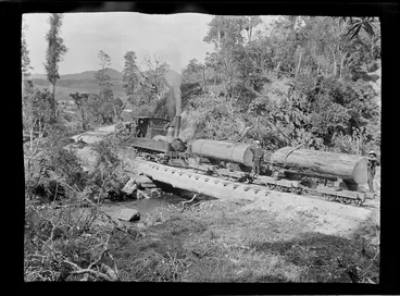 Image: William Williams and unidentified workmen driving a small steam train with two log laden carriages on their way to the Kakahi Settlement Sawmill, Manawatu-Whanganui Region