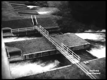 Image: Weekly Review No. 306 (1947)