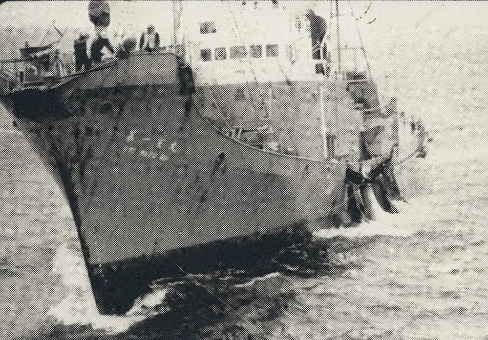Japanese whaling vessel in Antarctic waters