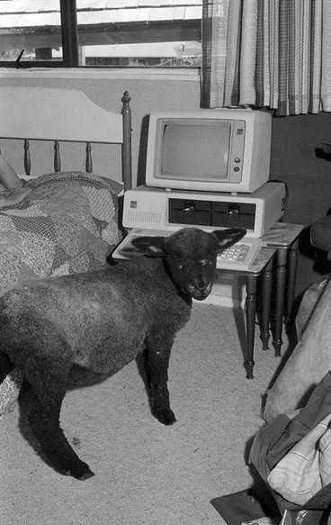 Waterfront Credit Union, Man Image: Waterfront Credit Union, Man