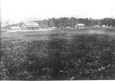 Image: Levin State Farm