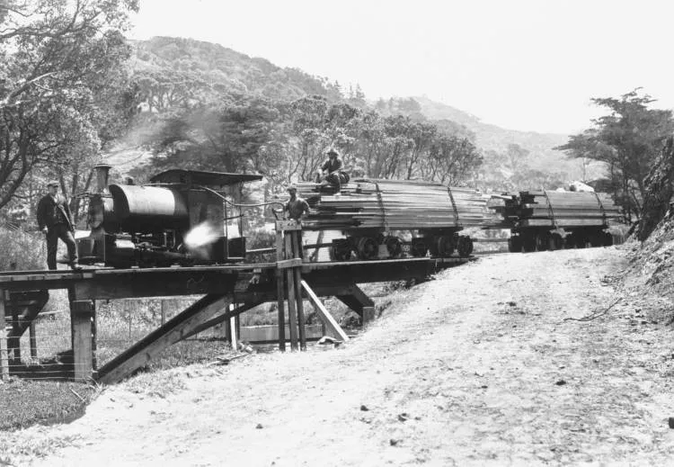 Engine and trucks of timber on tramway at Karekare.