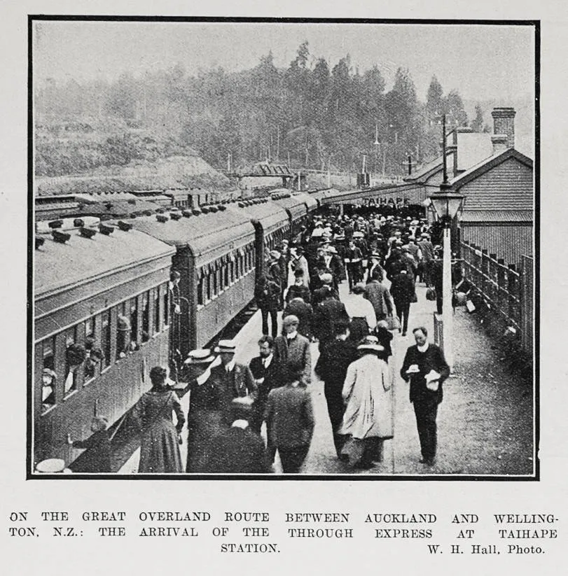 On the Great Overland route between Auckland and Wellington, N.Z.