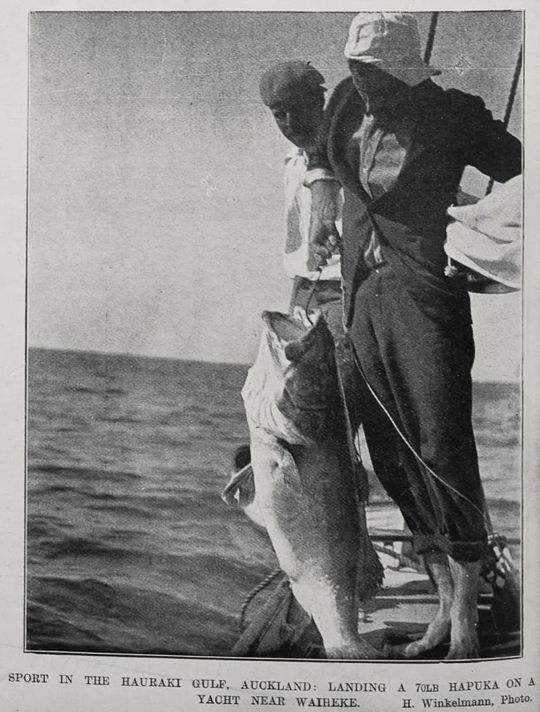 Sport in the Hauraki Gulf, Auckland landing a 70LB Hapuka on a yacht near Waiheke