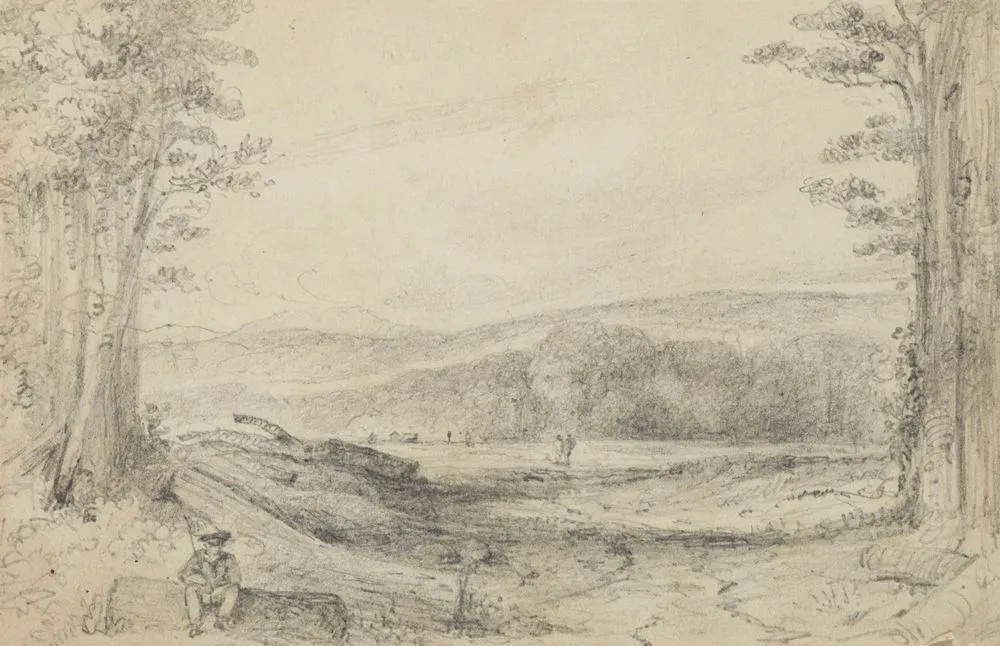 The Fern ground, looking up towards Managaroa