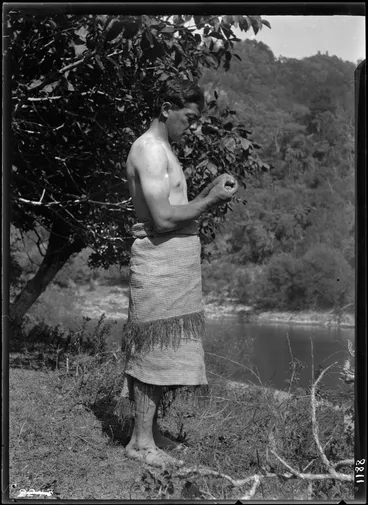 Image: Maori method of measurement (1st)