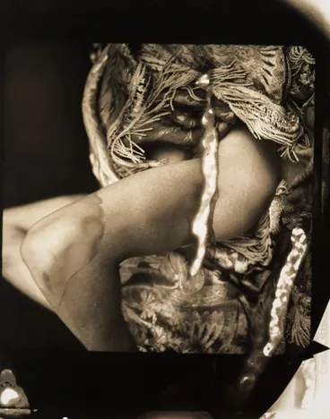 Image: The journey of the sensualist I