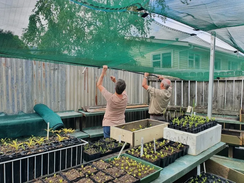 Restoration and Re Planting