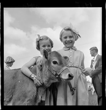 Image: Two girls with a calf, Carterton Show