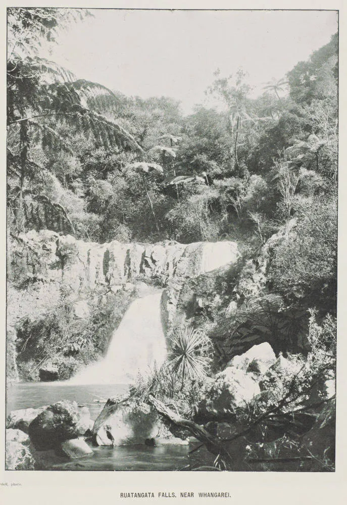 Ruatangata Falls, near Whangarei