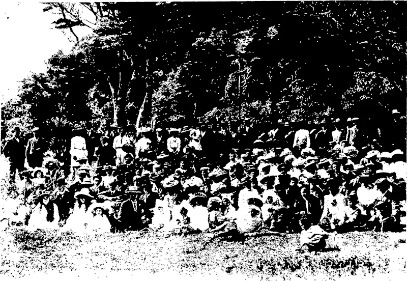 A PICNIC PARTY AT DAY'S BAY.—W. & G. Turnbull & Co.'s Employees with their Families and Friends. (New Zealand Free Lance, 28 February 1903)