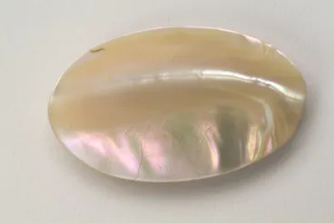 Image: Mother of pearl brooch