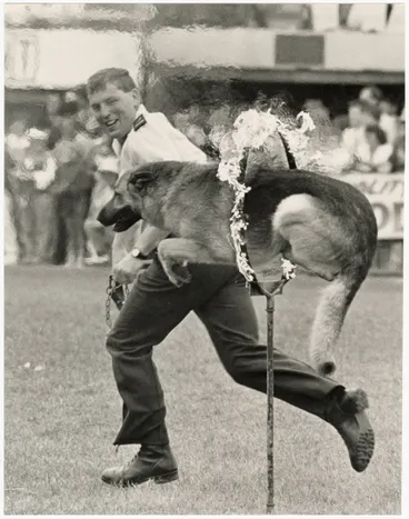 Image: Xeus and the ring of fire