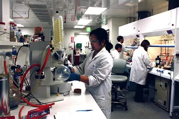 Image: Malaghan Institute