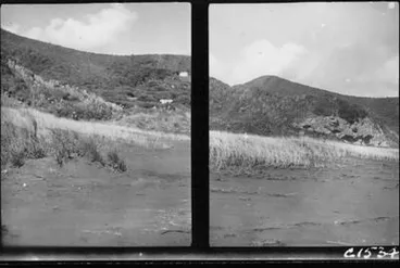 Image: North end of the dunes.