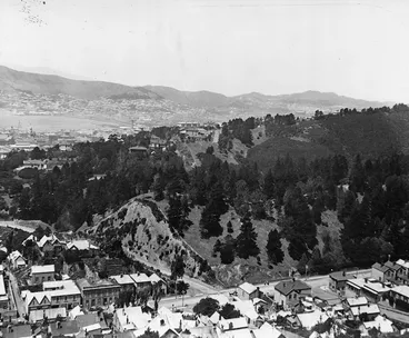 Image: View of Thorndon, Wellington