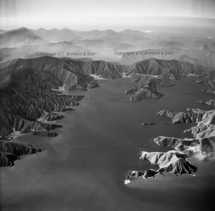 Looking NNE up Port Underwood, Marlborough Soun... (12662/12670)