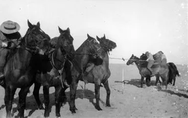 Image: Mounted Rifles horse sports, Sinai : photograph