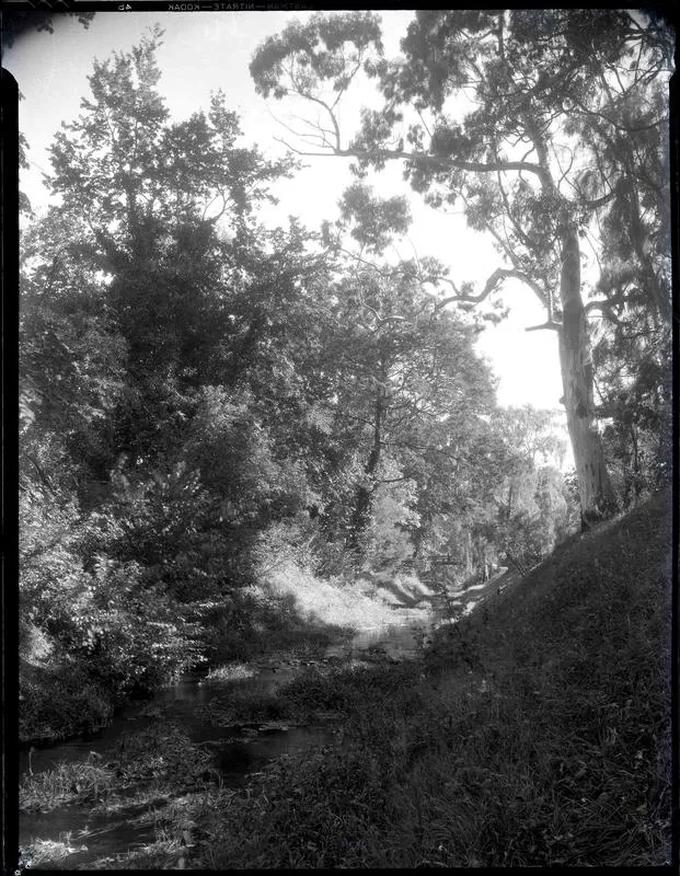 Oamaru Creek, Oamaru Public Gardens