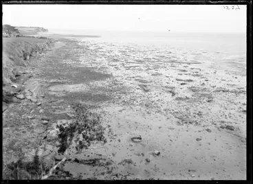 Image: Shoreline at Ihumatao on the Manukau Harbour, 1923