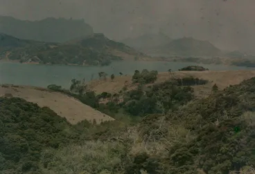 Image: Parua Bay
