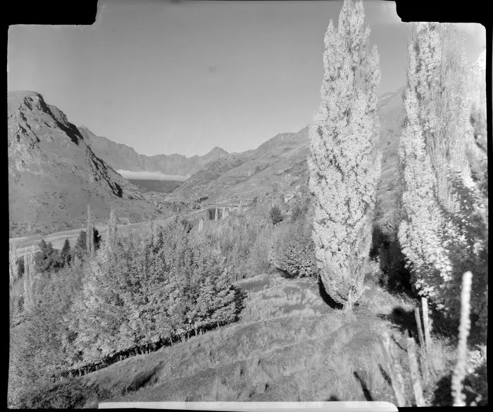 Arthurs Point during autumn, Queenstown