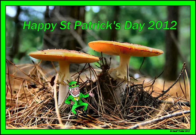Happy St Patrick's Day 2012