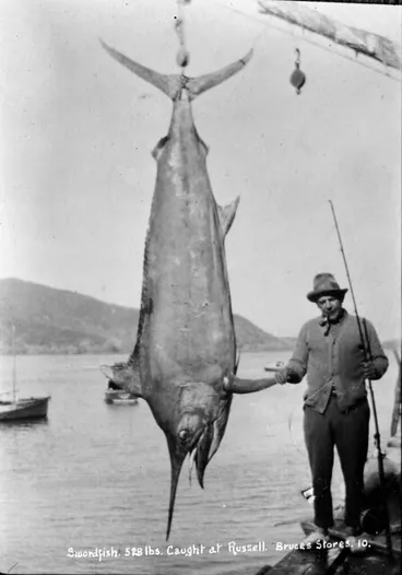 Image: Swordfish caught at Russell, ca 1910