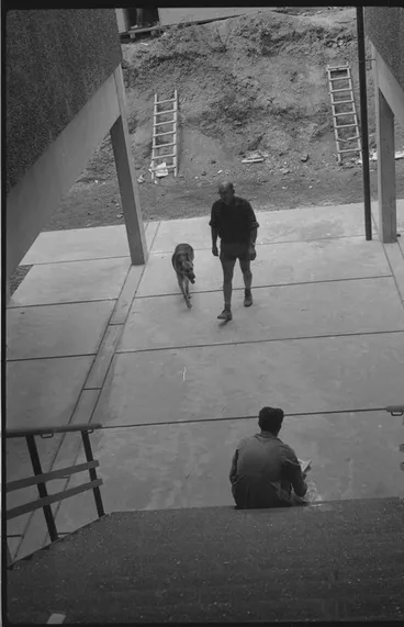 Image: University Auckland