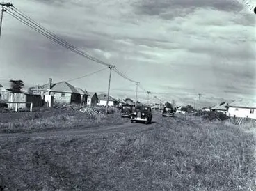 Image: Papatoetoe State housing.