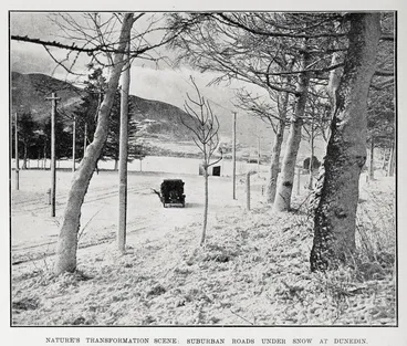 Nature's transformation scene: suburban roads under snow at Dunedin Image: Nature's transformation scene: suburban roads under snow at Dunedin