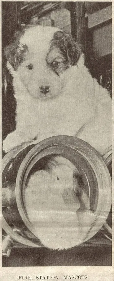 Image: Fire station mascots