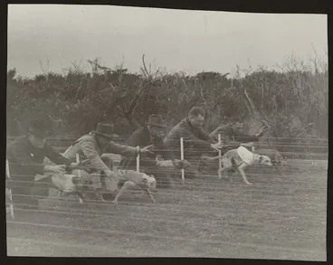 Image: Start of a dog race
