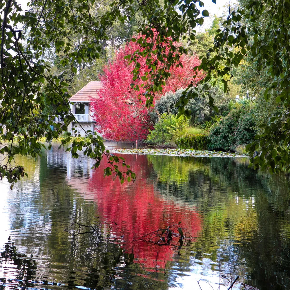Colour of autumn, Hamilton gardens