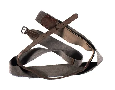 Image: Surcingle - Alex Morrison, Phar Lap, 1928-1932