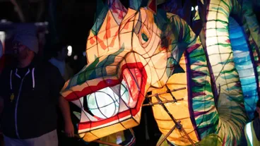 Image: Festival of Cultures Lantern Parade 2018