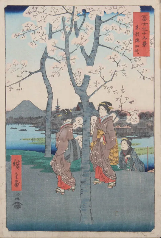 Toto Sumida Tsutsumi.