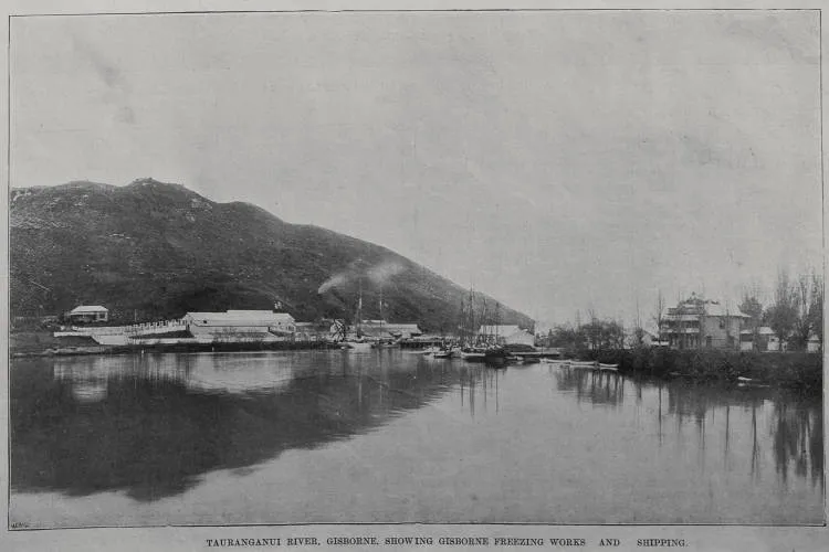Tauranganui [Turanganui] River, Gisborne, showing Gisborne Freezing works and shipping