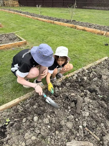 Image: Planting broccoli
