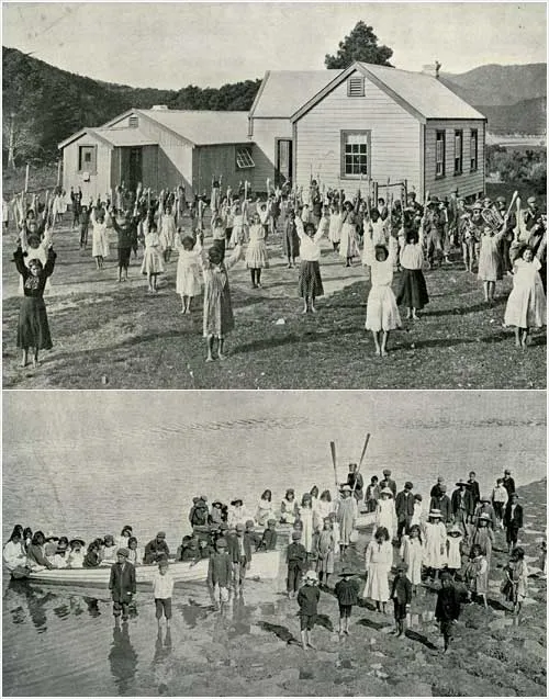 Native school, Whangapē