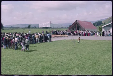 Image: Māori Land March arriving at Tukorehe Marae