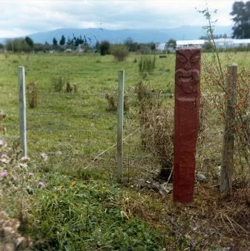 Papawai whakapakoko: Photograph
